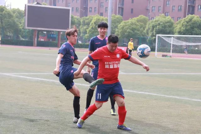 8月正是享受无花果的好时机，买5公斤晒干储存，吃到冬季